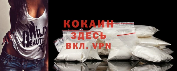 крисы Алзамай