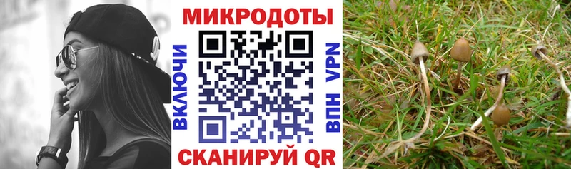 магазин  наркотиков  Красноуральск  Галлюциногенные грибы MAGIC MUSHROOMS 